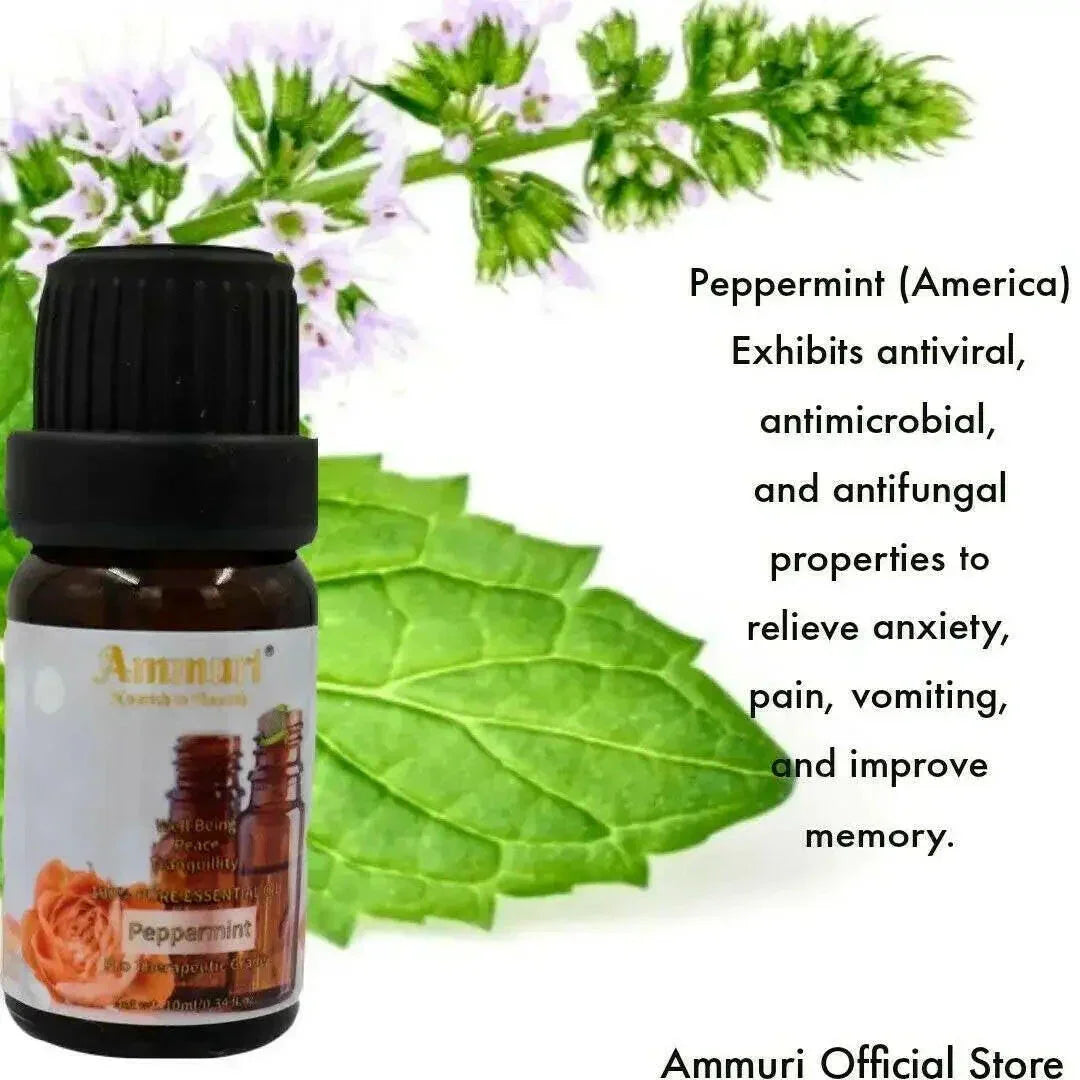 Ammuri Skincare Essential Oils Gift Set - Aromatherapy Collection-4