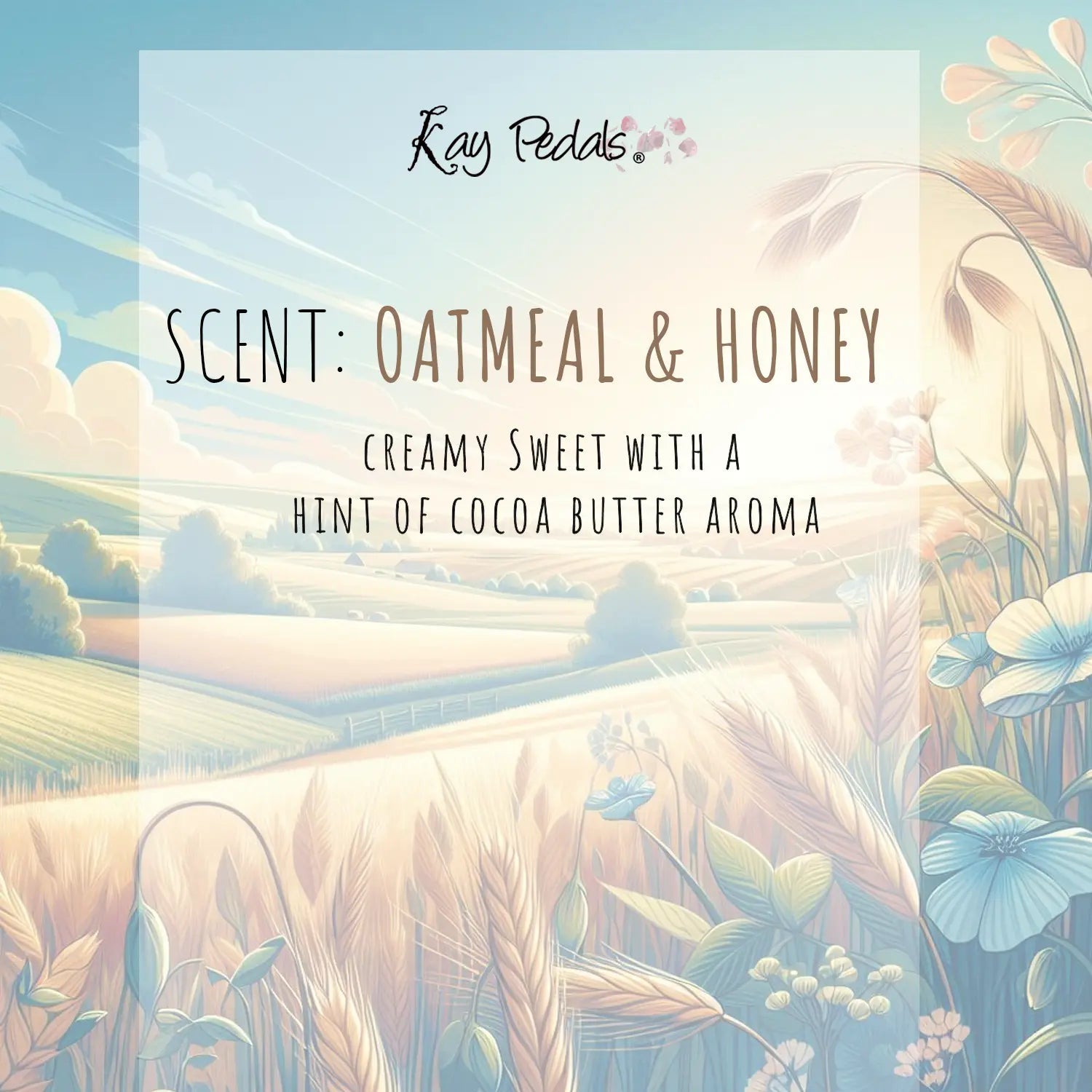 Oatmeal and Honey Organic Body Lotion | Shea Butter Natural Body Cream | Aromatherapy Scented Lotion | Hydrating Organic Skincare-1